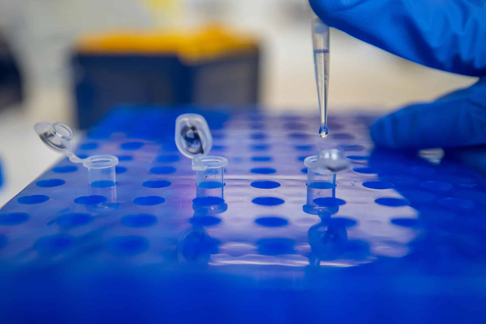 a scientist in gloves squeezing liquid into a test tube from a pipette